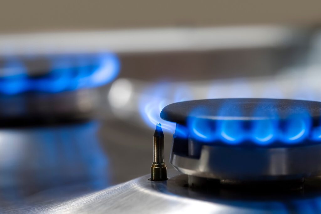 Gas and fluid regulation